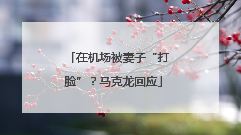 在机场被妻子“打脸”？马克龙回应