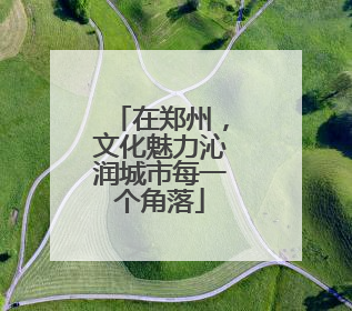 在郑州，文化魅力沁润城市每一个角落