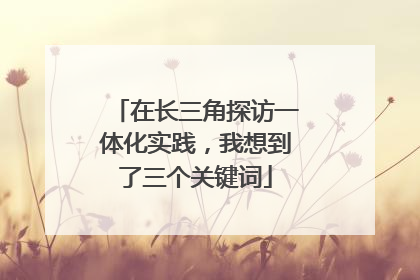 在长三角探访一体化实践，我想到了三个关键词