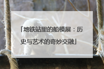 地铁站里的船模展：历史与艺术的奇妙交融