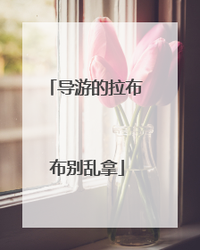 导游的拉布布别乱拿