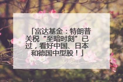 富达基金：特朗普关税“至暗时刻”已过，看好中国、日本和德国中型股！