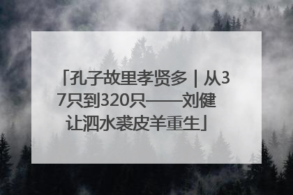 孔子故里孝贤多｜从37只到320只——刘健让泗水裘皮羊重生