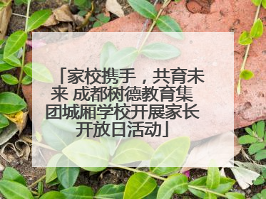 家校携手，共育未来 成都树德教育集团城厢学校开展家长开放日活动