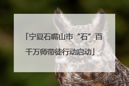 宁夏石嘴山市“石”百千万师带徒行动启动