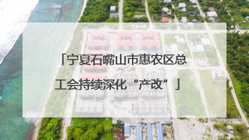 宁夏石嘴山市惠农区总工会持续深化“产改”