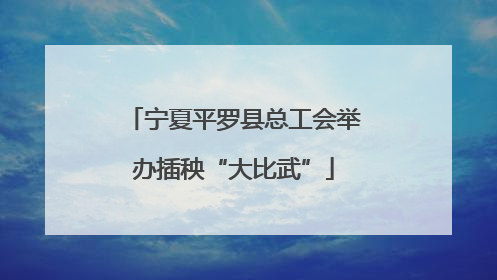 宁夏平罗县总工会举办插秧“大比武”