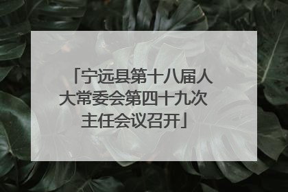 宁远县第十八届人大常委会第四十九次主任会议召开