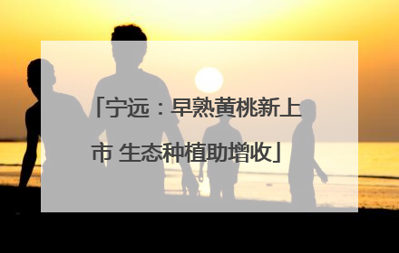 宁远：早熟黄桃新上市 生态种植助增收