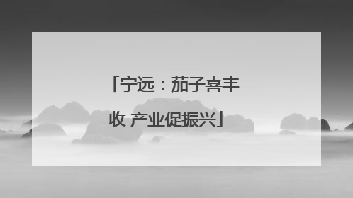 宁远：茄子喜丰收 产业促振兴