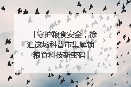 守护粮食安全，徐汇这场科普市集解锁粮食科技新密码
