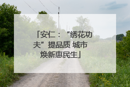 安仁：“绣花功夫”提品质 城市焕新惠民生