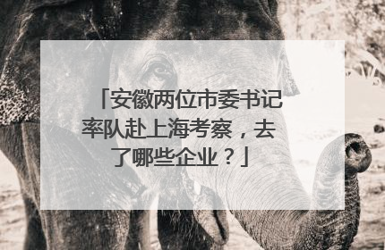 安徽两位市委书记率队赴上海考察，去了哪些企业？