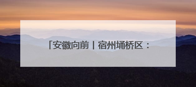 安徽向前丨宿州埇桥区：建智慧物流 兴产业引擎