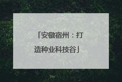 安徽宿州：打造种业科技谷