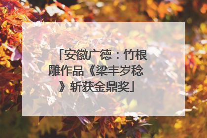 安徽广德：竹根雕作品《梁丰岁稔》斩获金鼎奖