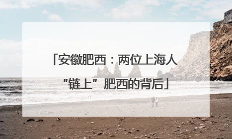 安徽肥西：两位上海人“链上”肥西的背后