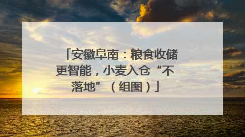 安徽阜南：粮食收储更智能，小麦入仓“不落地”（组图）