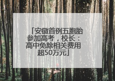 安徽首例五胞胎参加高考，校长：高中免除相关费用超50万元