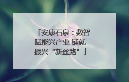 安康石泉：数智赋能兴产业 铺就振兴“新丝路”