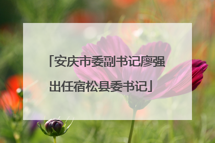 安庆市委副书记廖强出任宿松县委书记