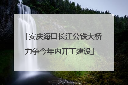 安庆海口长江公铁大桥力争今年内开工建设