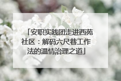 安职实践团走进西苑社区：解码六尺巷工作法的温情治理之道