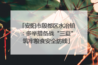 安阳市殷都区水冶镇：多举措备战“三夏” 筑牢粮食安全防线