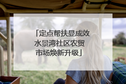 定点帮扶显成效 水景湾社区农贸市场焕新升级