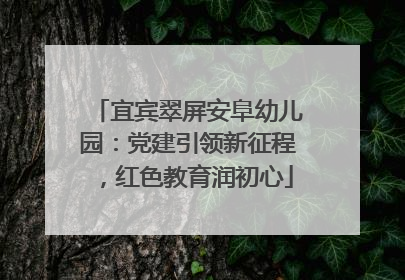 宜宾翠屏安阜幼儿园：党建引领新征程，红色教育润初心
