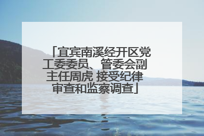 宜宾南溪经开区党工委委员、管委会副主任周虎 接受纪律审查和监察调查
