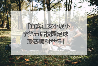 宜宾江安小坝小学第五届校园足球联赛顺利举行