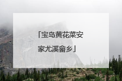 宝岛黄花菜安家尤溪畲乡