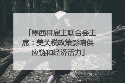 墨西哥雇主联合会主席：美关税政策影响供应链和经济活力