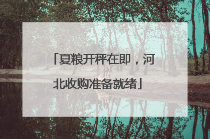 夏粮开秤在即，河北收购准备就绪