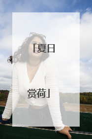 夏日赏荷