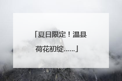 夏日限定！温县荷花初绽……