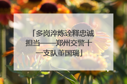 多岗淬炼诠释忠诚担当——郑州交警十一支队董国瑞