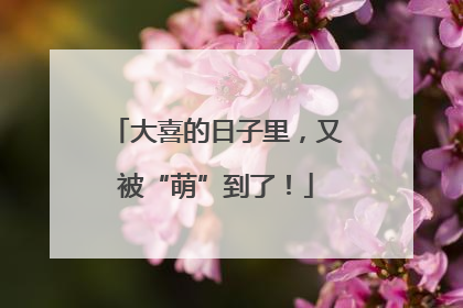大喜的日子里，又被“萌”到了！