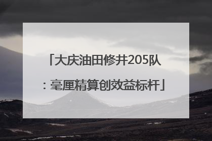 大庆油田修井205队：毫厘精算创效益标杆