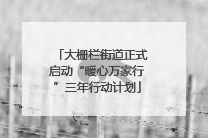 大栅栏街道正式启动“暖心万家行”三年行动计划