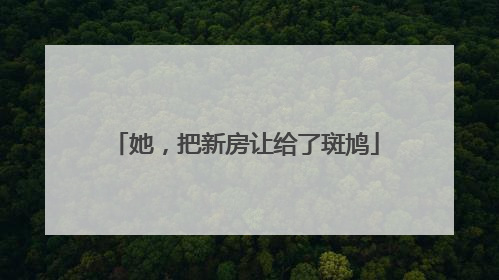 她，把新房让给了斑鸠