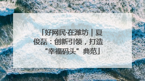 好网民·在潍坊｜夏俊磊：创新引领，打造“幸福码头”典范