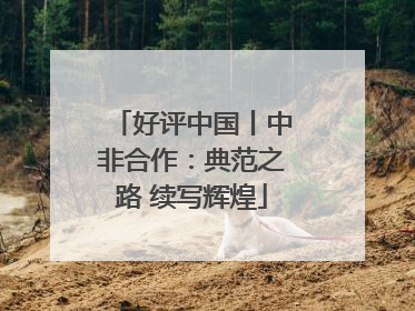 好评中国丨中非合作：典范之路 续写辉煌