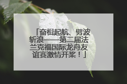 奋楫起航、劈波斩浪——第二届法兰克福国际龙舟友谊赛激情开桨！