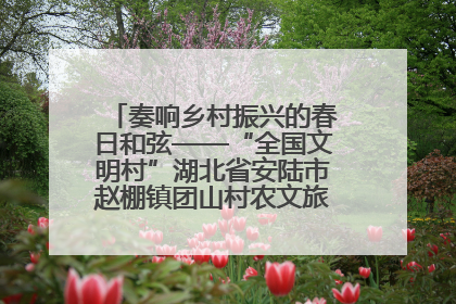 奏响乡村振兴的春日和弦——“全国文明村”湖北省安陆市赵棚镇团山村农文旅融合发展见闻