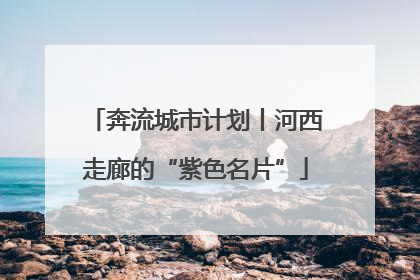 奔流城市计划丨河西走廊的“紫色名片”