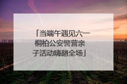 当端午遇见六一 桐柏公安警营亲子活动嗨翻全场