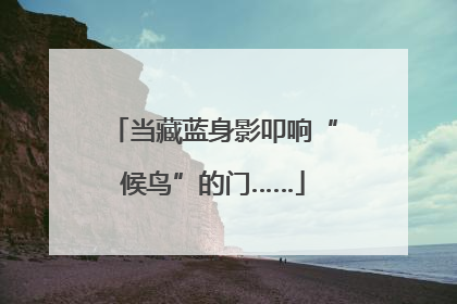 当藏蓝身影叩响“候鸟”的门……
