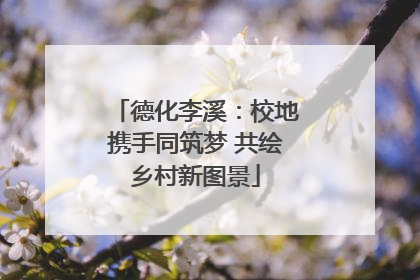 德化李溪：校地携手同筑梦 共绘乡村新图景
